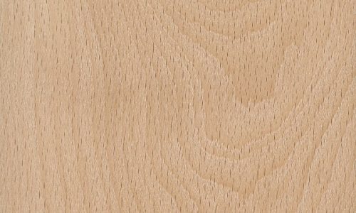 Vật liệu gỗ Dẻ Gai (Beech) tự nhiên.