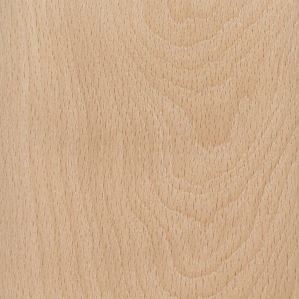 Vật liệu gỗ Dẻ Gai (Beech) tự nhiên. | Gỗ Trang Trí