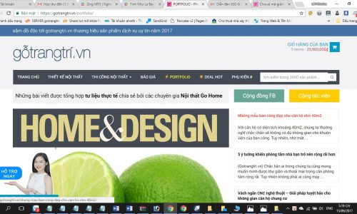 Ra mắt chuyên mục Portfolio cung cấp nhiều thông tin hữu ích