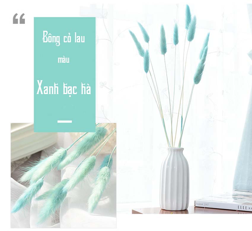 Bong-co-lau-kho-dung-trang-tri-GHS-6231