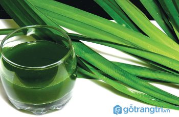 Xua tan lo lắng phòng tắm bị hôi với 6 nguyên liệu dễ kiếm này