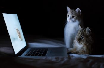 tự chế bàn laptop