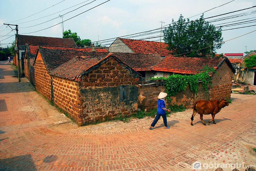 Khám phá nét đẹp độc đáo của làng việt cổ ở đồng bằng Bắc Bộ (P1)