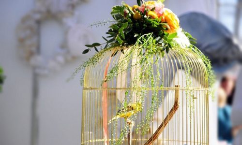 Muôn kiểu cắm hoa độc đáo, đẹp "bá cháy" nhưng ít ai ngờ tới