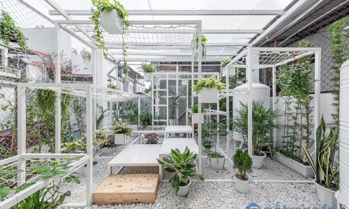 Thiết kế không gian thư giãn xanh mát trên tầng thượng tại Hà Nội