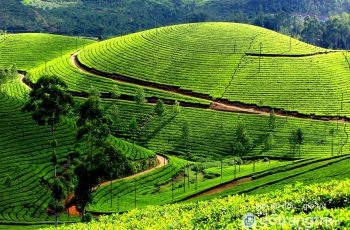 Bỏ túi 15 điểm đến đẹp tại Mộc Châu nhất định phải ghé thăm (Phần 1)