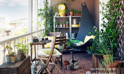 Những điều cần lưu ý khi trồng cây trên ban công để thu hút tài lộc