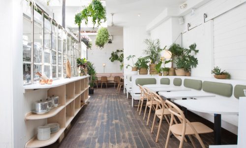Không gian phủ đầy cây xanh của nhà hàng Di An Di ở Brooklyn