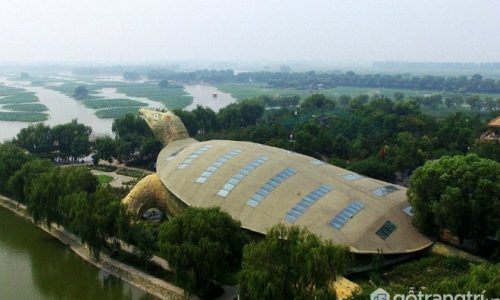 Xuýt xoa với toà nhà kiến trúc hình con rùa lớn nhất thế giới
