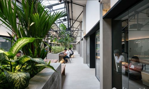 Jungle Station- quán cà phê độc đáo cải tạo từ nhà máy in cũ