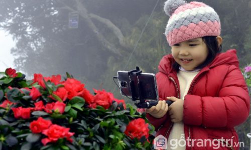 Đặc sắc "Lễ hội hoa đỗ quyên" được tổ chức tại đỉnh Fansipan