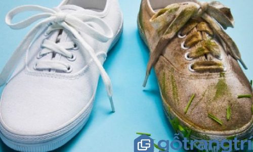 Mẹo vặt hữu ích: Cách giặt giày vải không bị phai màu bạn nên biết