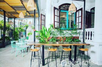 Chất lừ không gian cà phê xanh thu hút đông đảo giới trẻ