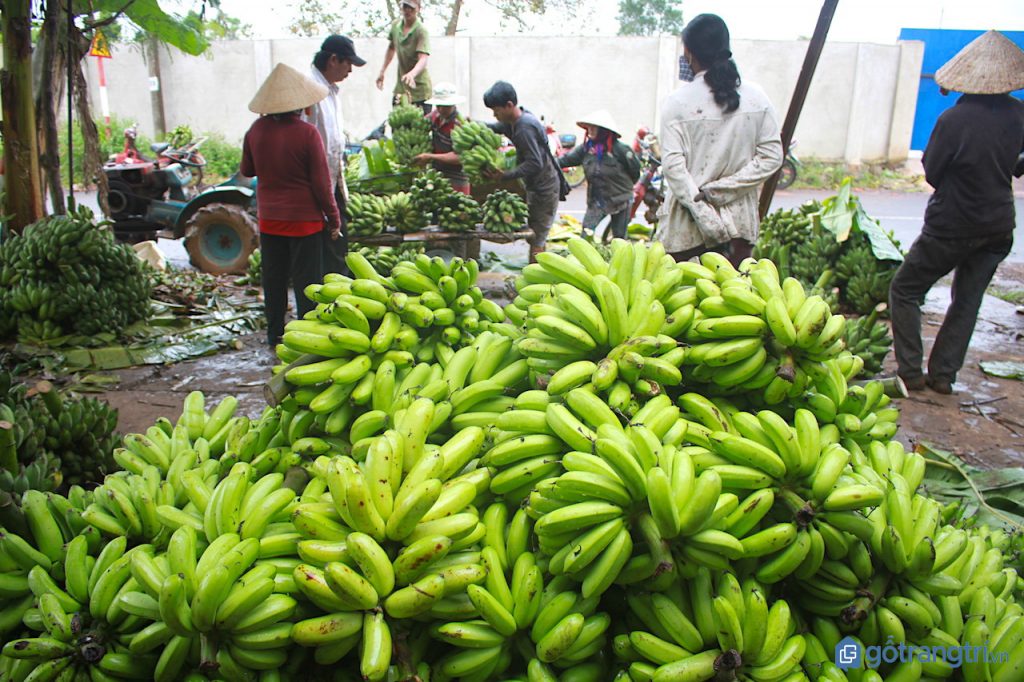 Khám phá hương vị miền Tây qua làng nghề chuối khô Cà Mau truyền thống