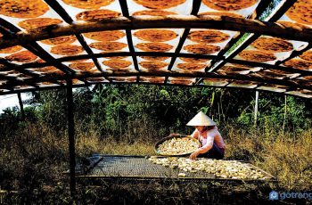 Khám phá hương vị miền Tây qua làng nghề chuối khô Cà Mau truyền thống