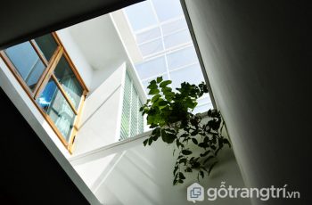Nhà tổ kén Nha Trang - Không gian sống tĩnh lặng nhiều cây xanh