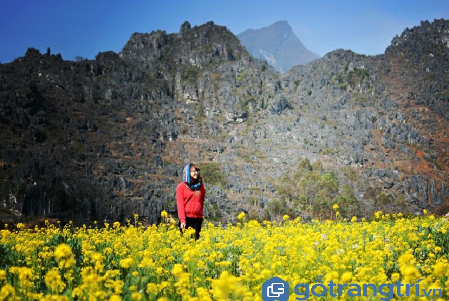 Du lịch Hà Giang, nhất định phải ghé thăm thung lũng Sủng Là