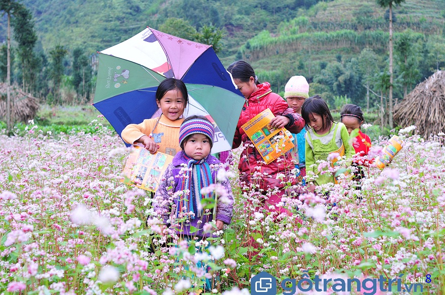 Du lịch Hà Giang, nhất định phải ghé thăm thung lũng Sủng Là