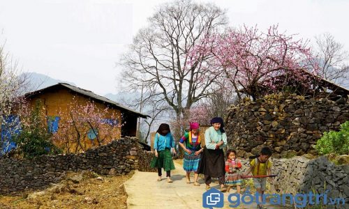 Du lịch Hà Giang, nhất định phải ghé thăm thung lũng Sủng Là