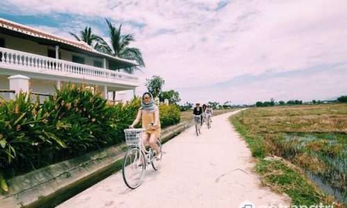 Xách vali du lịch Hội An và đừng quên ghé Homestay Heron House