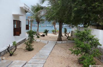 Homestay trên đảo Bình Hưng đẹp “nức nở” với tầm view 2 trong 1