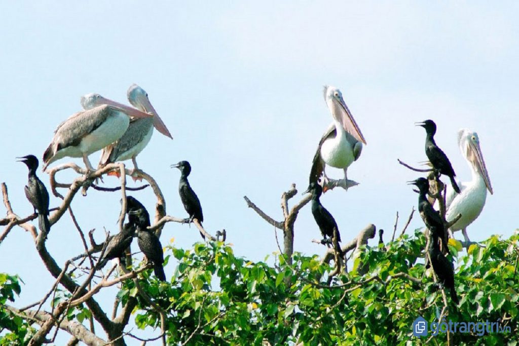 Top 10 điểm đến không thể bỏ lỡ trong chuyến du lịch Bạc Liêu (Phần 1)