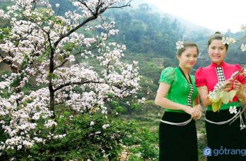 Rực rỡ Lễ hội Hoa Ban truyền thống của người dân tộc Thái ở Tây Bắc