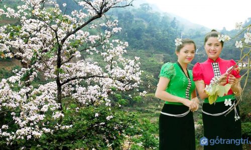 Rực rỡ Lễ hội Hoa Ban truyền thống của người dân tộc Thái ở Tây Bắc
