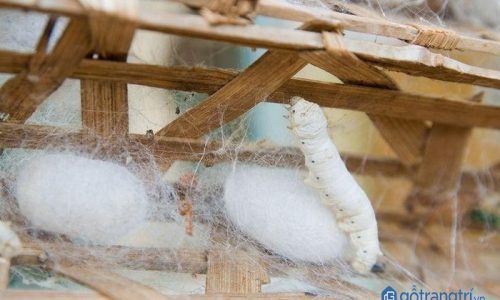 Nét đẹp văn hóa của làng cổ tơ tằm Vọng Nguyệt thu hút du khách