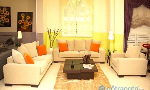 Lựa chọn chiều cao bàn sofa cần dựa trên những yếu tố nào?