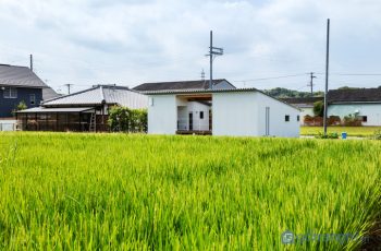 Thiết kế nhà cấp 4 kiểu Nhật Bản đẹp lung linh, giá "siêu xinh"