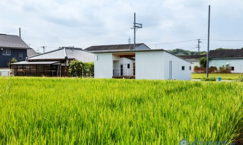 Thiết kế nhà cấp 4 kiểu Nhật Bản đẹp lung linh, giá "siêu xinh"