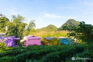 Mộc Châu Arena Village - Nhà container đầy sắc màu (Ảnh internet)