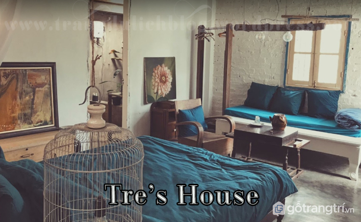 Homestay Tre's House tại Đà Lạt là nơi được nhiều người lựa chọn khi đến Đà Lạt vào mùa hoa dã quỳ (ảnh internet)