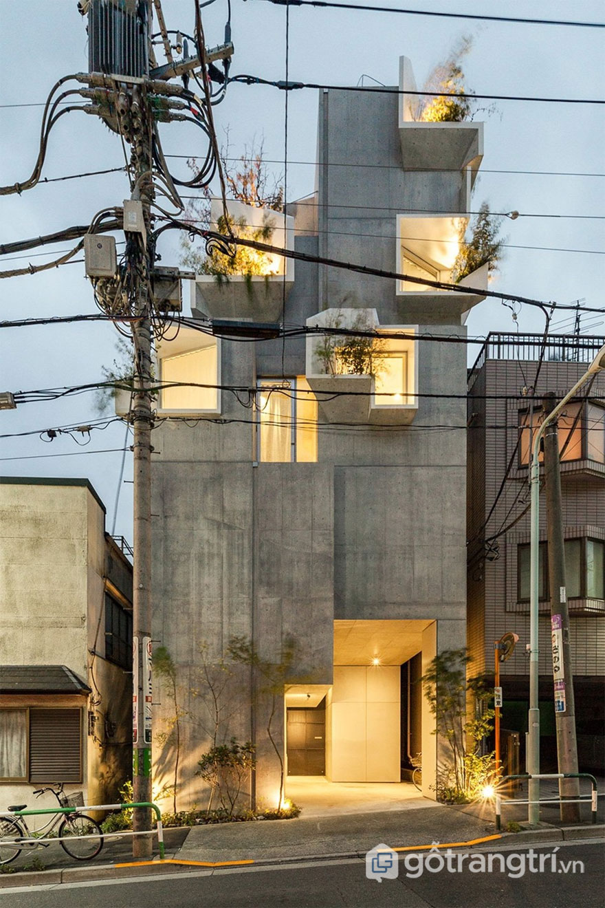 Tree Ness House nằm trên khu đất sâu và hẹp - Ảnh: Vincent Hecht