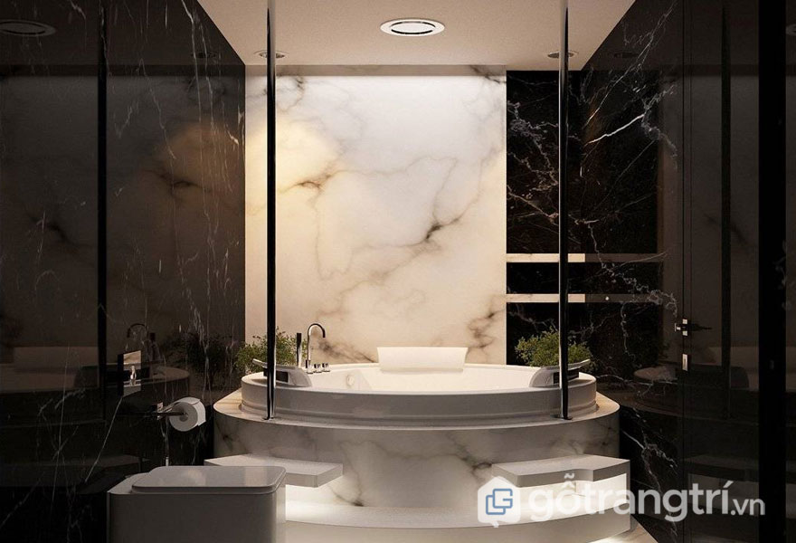 Phòng tắm phong cách sang trọng (Ảnh sưu tầm)