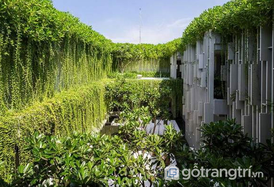 Naman Pure Spa sở hữu hệ thống vườn treo cây xanh mang đến màu sắc đẹp của kiến trúc spa - Ảnh: Internet