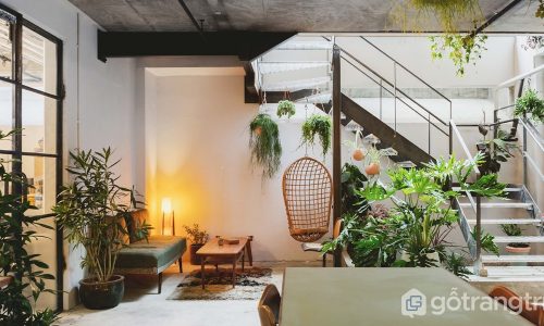 Tìm hiểu phong cách Eco trong thiết kế nội thất căn hộ hiện đại