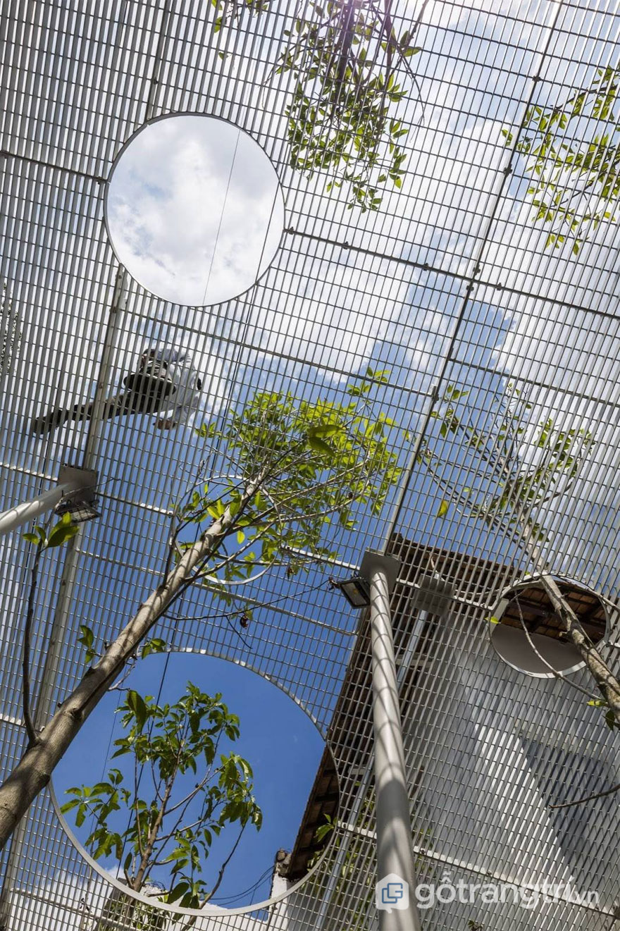 Giàn thép lưới chắc chắn với những lỗ tròn để thân cây có thể sinh trưởng - Ảnh: Internet