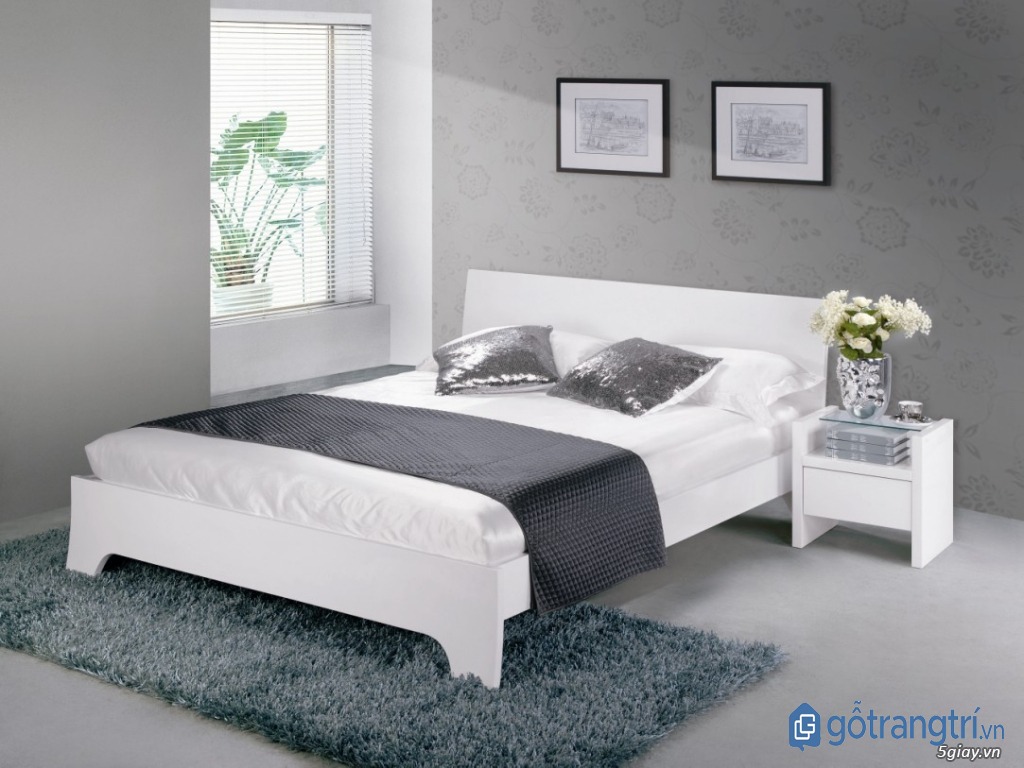 Giường ngủ đẹp bằng nhựa thiết kế hiện đại, giá thành rẻ. (ảnh: internet)