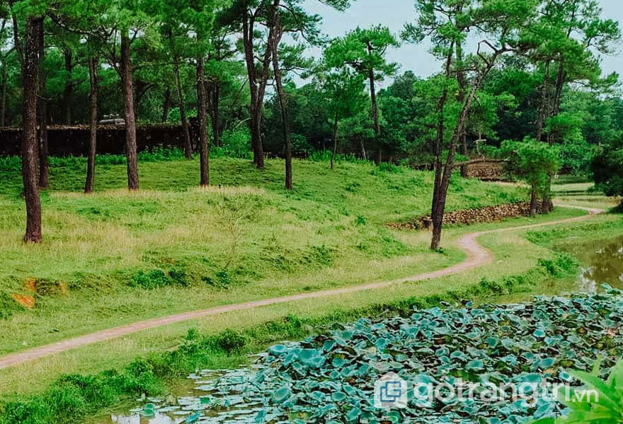 Phong cảnh xinh tươi của núi đồi - Ảnh: Nguyễn Thị Mai Trang