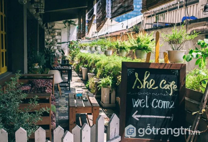 Phong cách nội thất retro: Cây xanh trang trí (Ảnh: Internet)