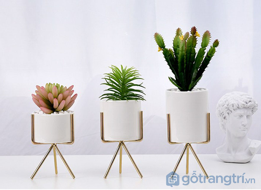 Chau-hoa-de-ban-bang-su-trang-me-GHS-6540