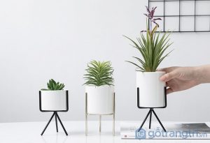 Chau-hoa-de-ban-bang-su-trang-me-GHS-6540 (7)