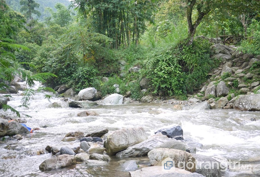 Nam Cang Riverside Lodge - ảnh internet