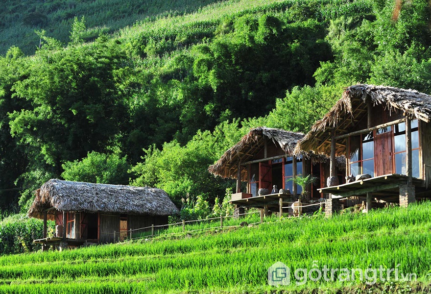 Hmong Mountain Retreat - ảnh internet