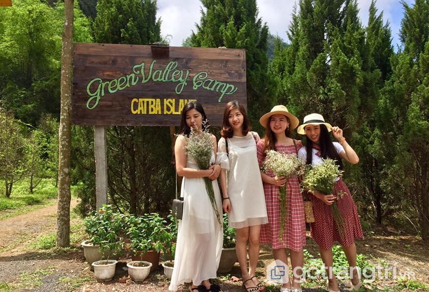 Green Valley Camp - Homestay gần Hà Nội cho chuyến dã ngoại cuối tuần - ảnh internet