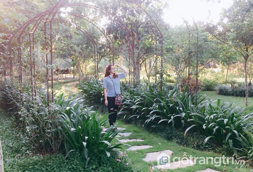 Homestay Mely Farm - ảnh internet