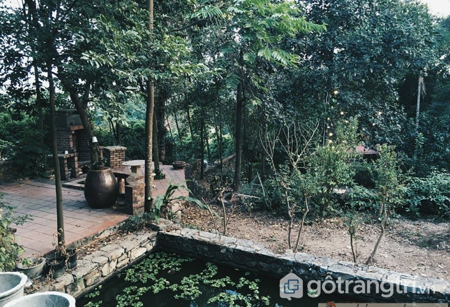 Vẻ hoang sơ bên ngoài của homestay gần Hà Nội - ảnh internet