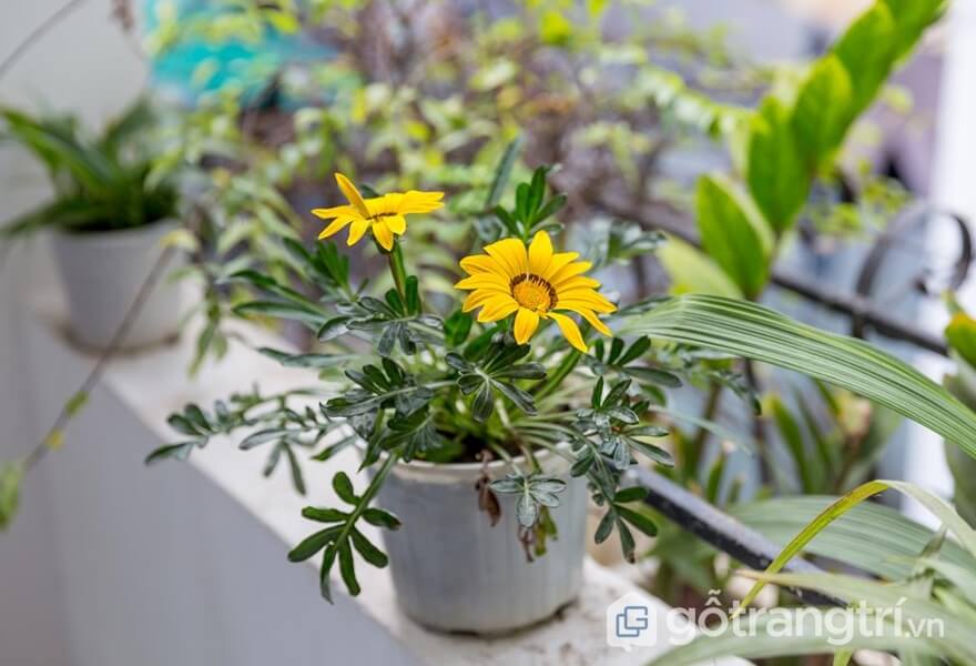 TOP 3 HOMESTAY ĐÀ NẴNG GIÁ RẺ BẤT NGỜ CHO CÁC TÍN ĐỒ MÊ XÊ DỊCH — GỖ TRANG TRÍ CÁC LOẠI HOA ĐA DẠNG TẠI HOMESTAY ĐÀ NẴNG GIÁ RẺ - ẢNH INTERNET